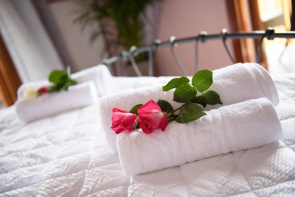Seaview Cottage - Calmare Petriti  ภายนอก รูปภาพ
