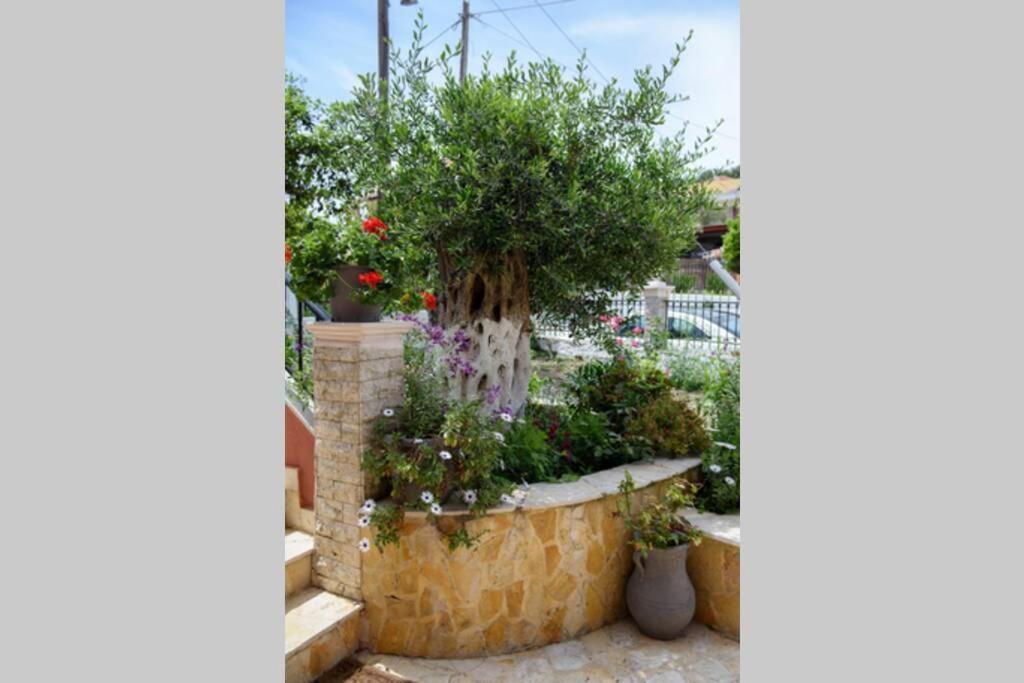 Seaview Cottage - Calmare Petriti  ภายนอก รูปภาพ